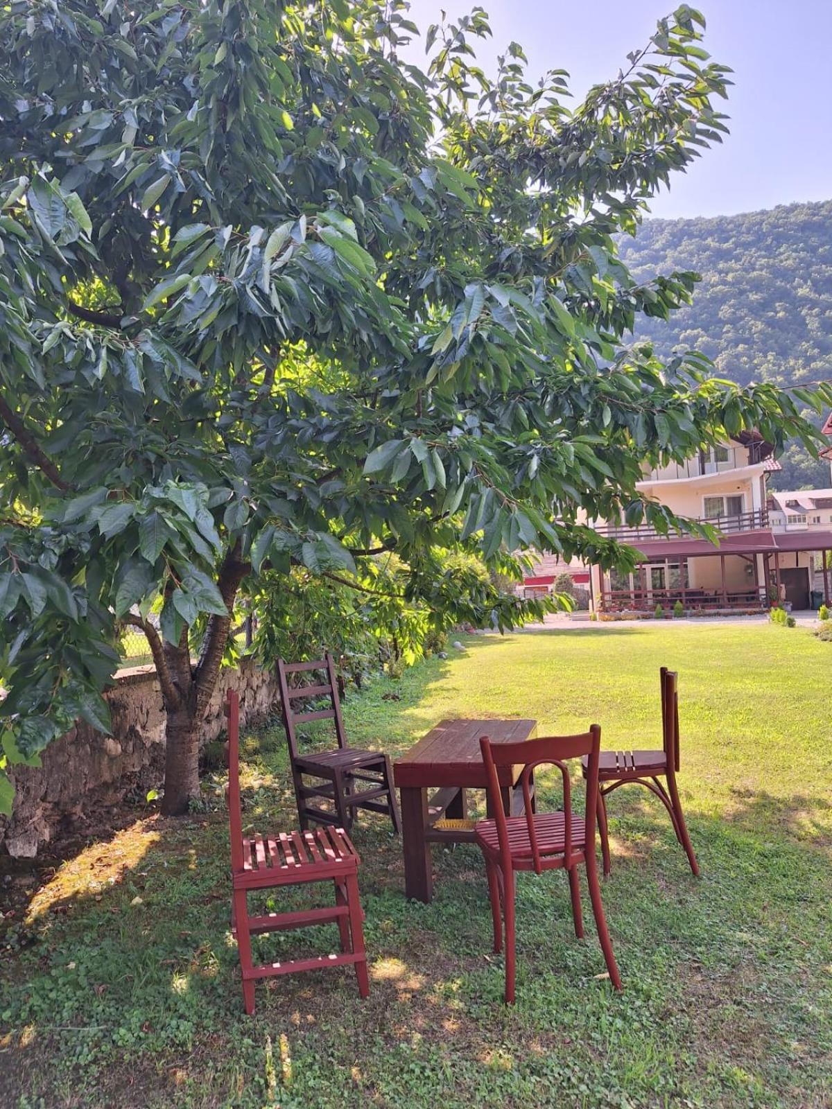 Casa Astoria * Băile Herculane