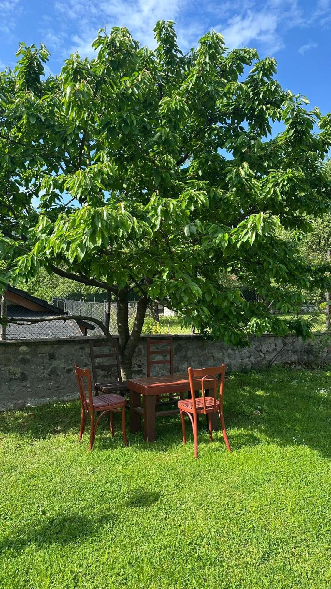 Casa Astoria *